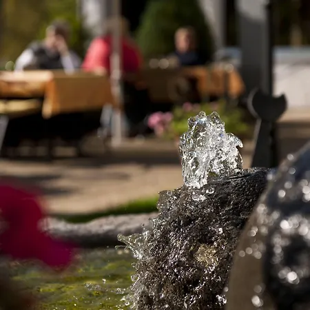 斯文吉酒店 酒店 3*