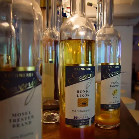 斯文吉酒店 酒店 3*